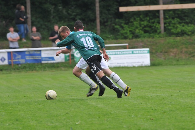 市场前景 市场前景