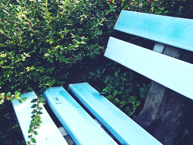 密尔沃基雄 密尔沃基雄