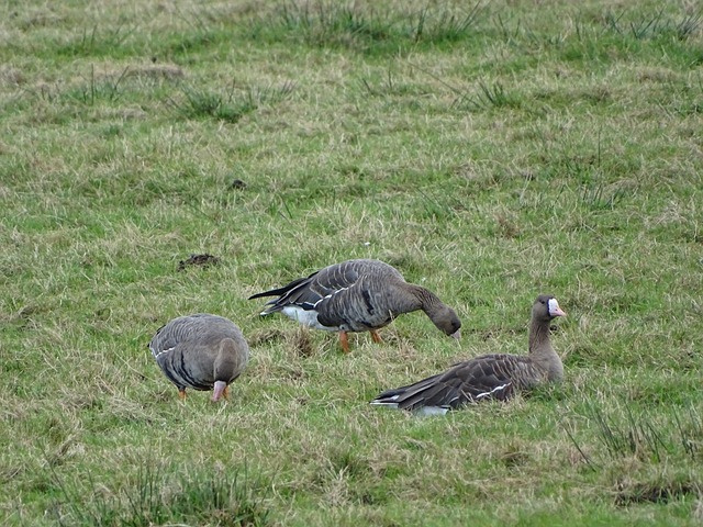 数字化营销 数字化营销