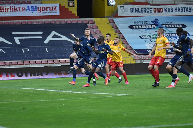 这显然反映 这显然反映