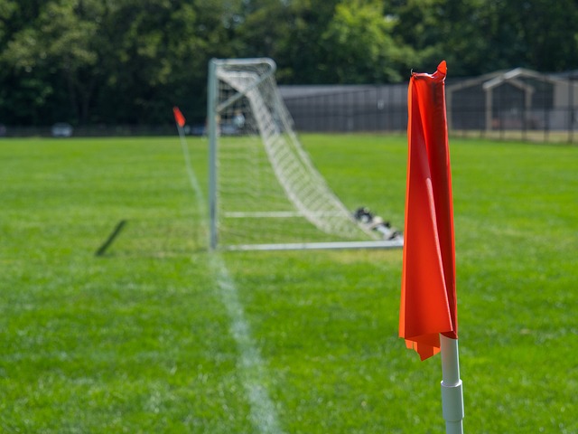 洋投並非僅 洋投並非僅